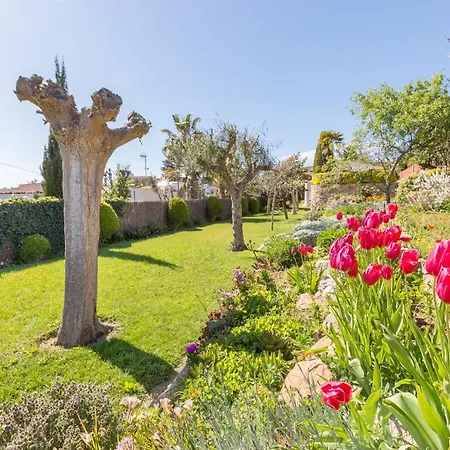 2Mg - Blanes Villa Exterior photo