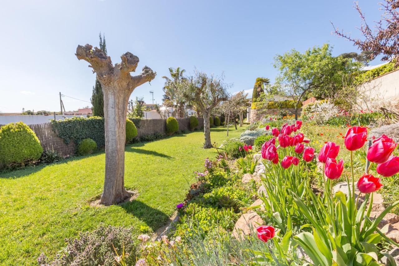Vil·la 2Mg - Blanes